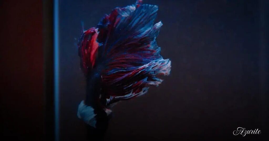 Betta Fish Tank Mates 10 Peaceful Fish That Can Live With Bettas