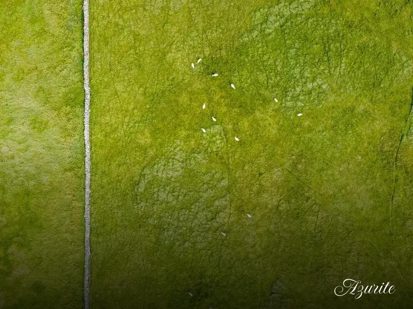 Preventing regrowth: photoperiod, CO2, and feeding habits